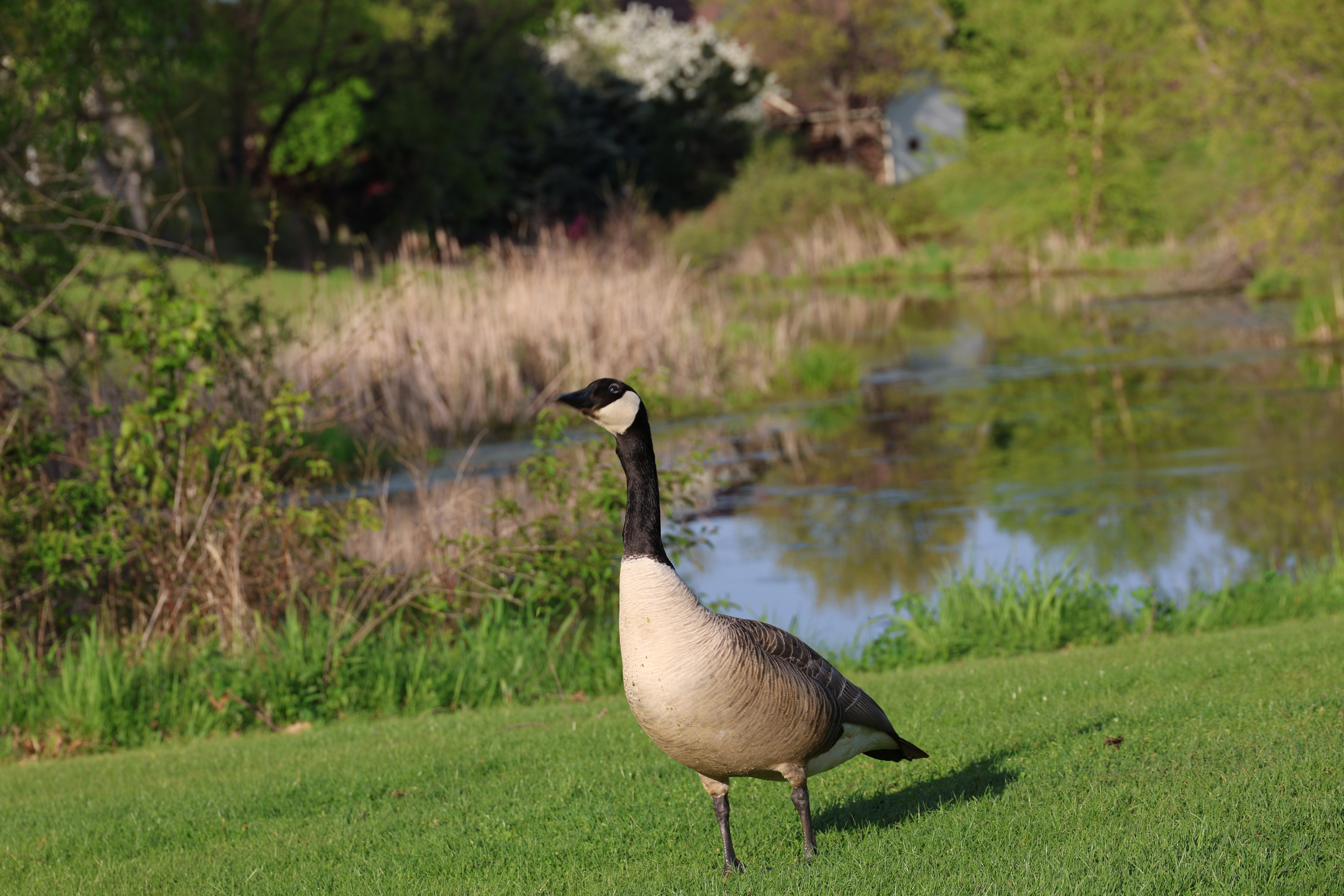 Below Feature Products-1