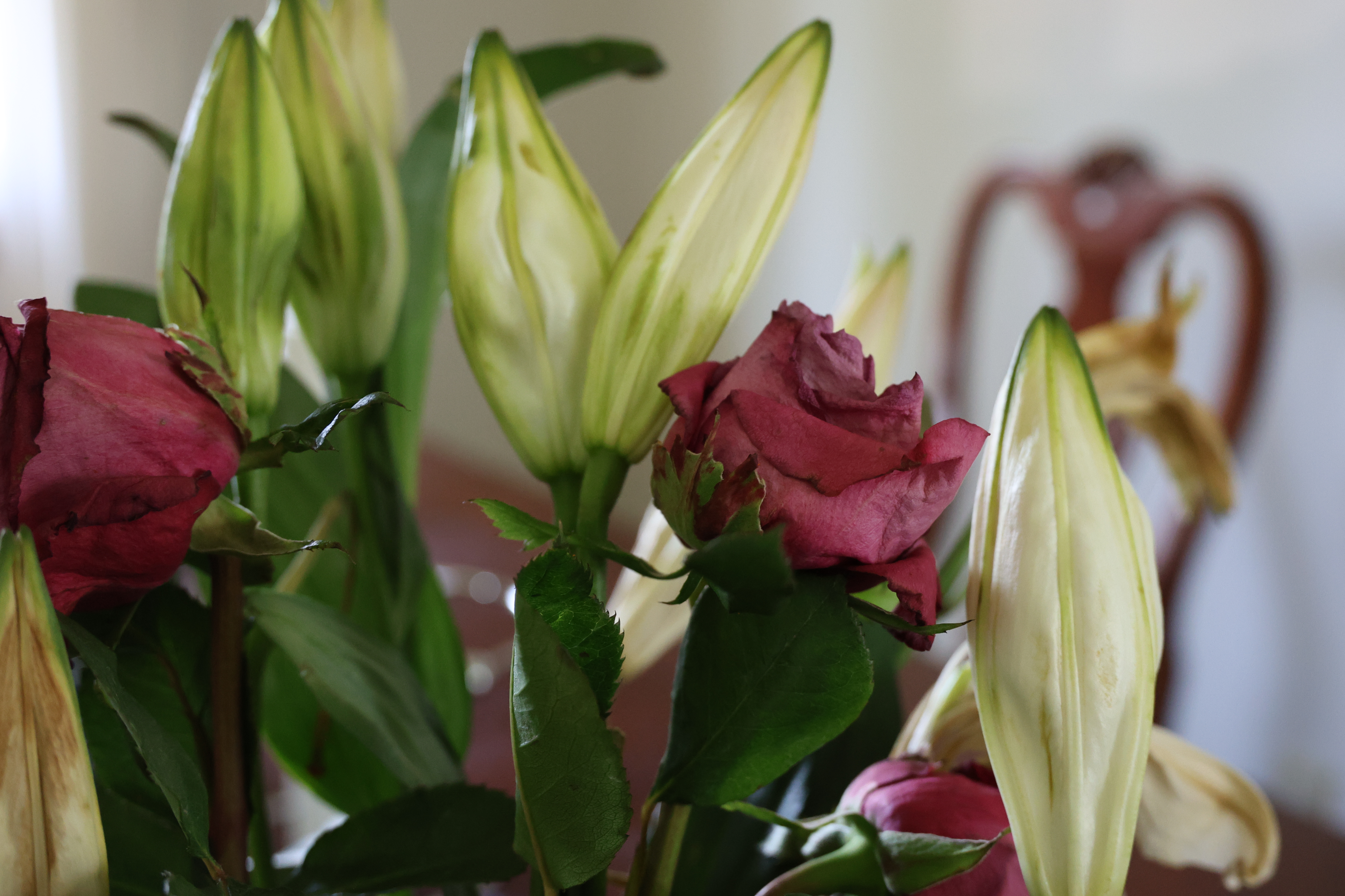 Home Top Slider Image 1